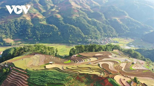 Ảnh của Ruộng bậc thang Mù Cang Chải đẹp lạ lùng mùa nước đổ