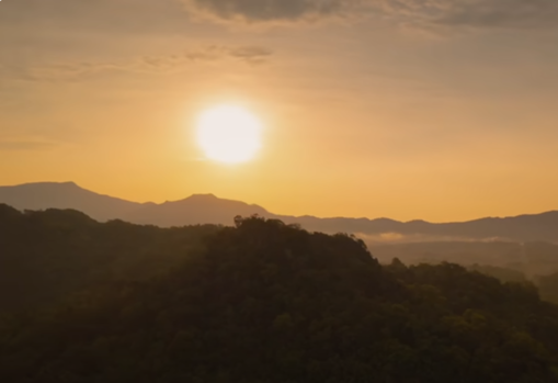 Ảnh của TRẦY XƯỚC