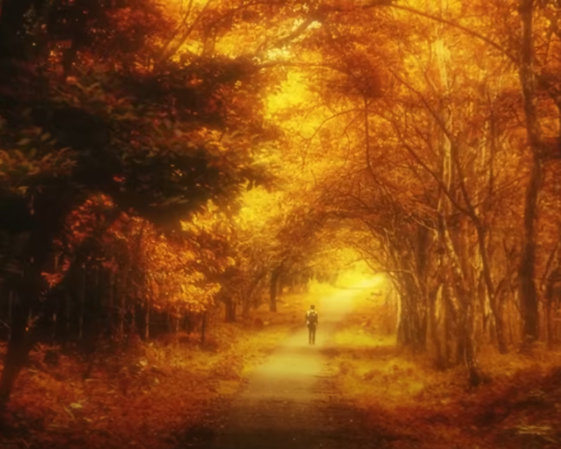 Ảnh của Đen – Lãng đãng